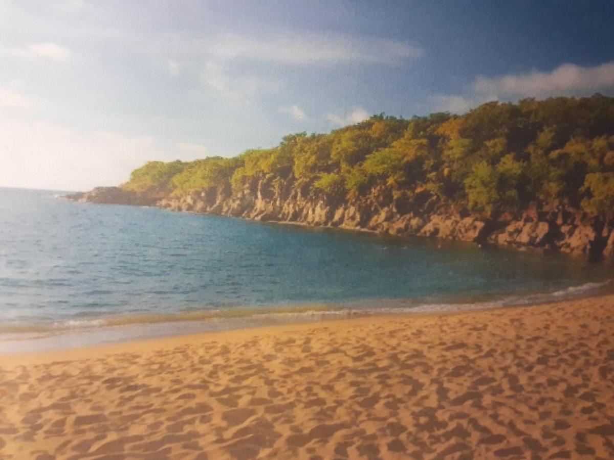 Residence Les Manguiers Pointe-Noire Dış mekan fotoğraf