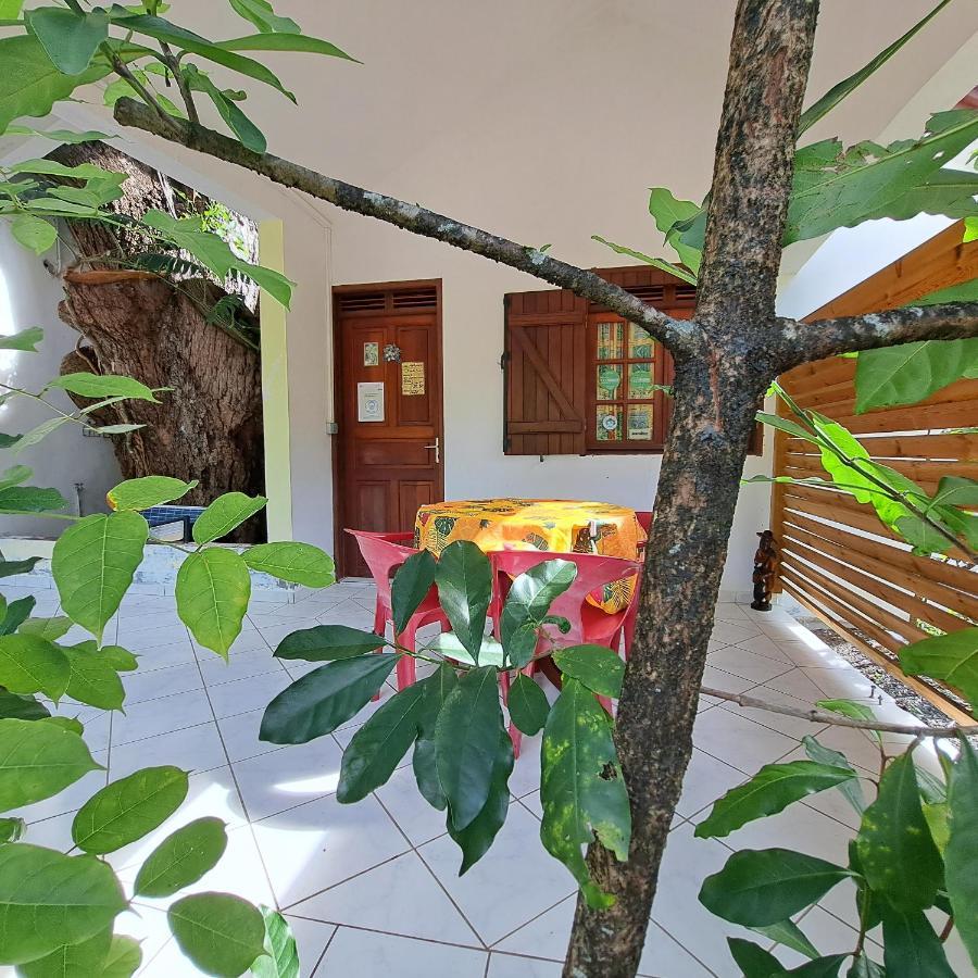 Residence Les Manguiers Pointe-Noire Dış mekan fotoğraf