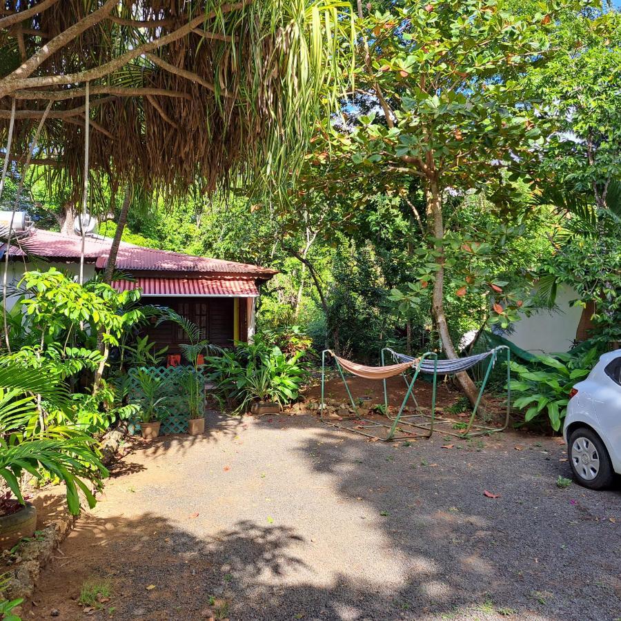 Residence Les Manguiers Pointe-Noire Dış mekan fotoğraf