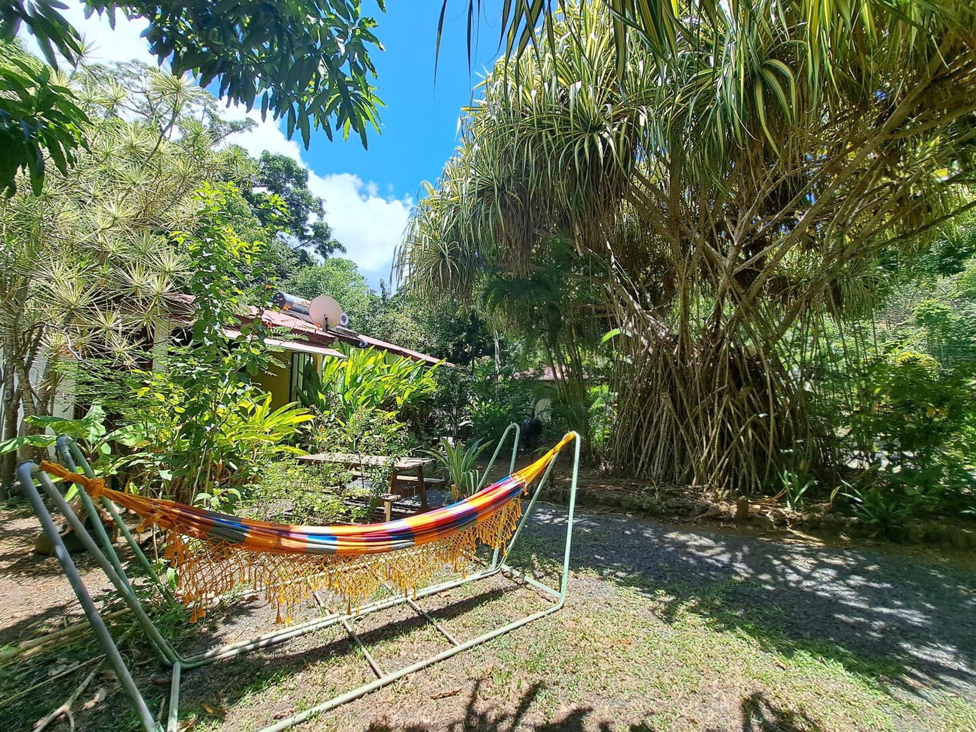 Residence Les Manguiers Pointe-Noire Dış mekan fotoğraf