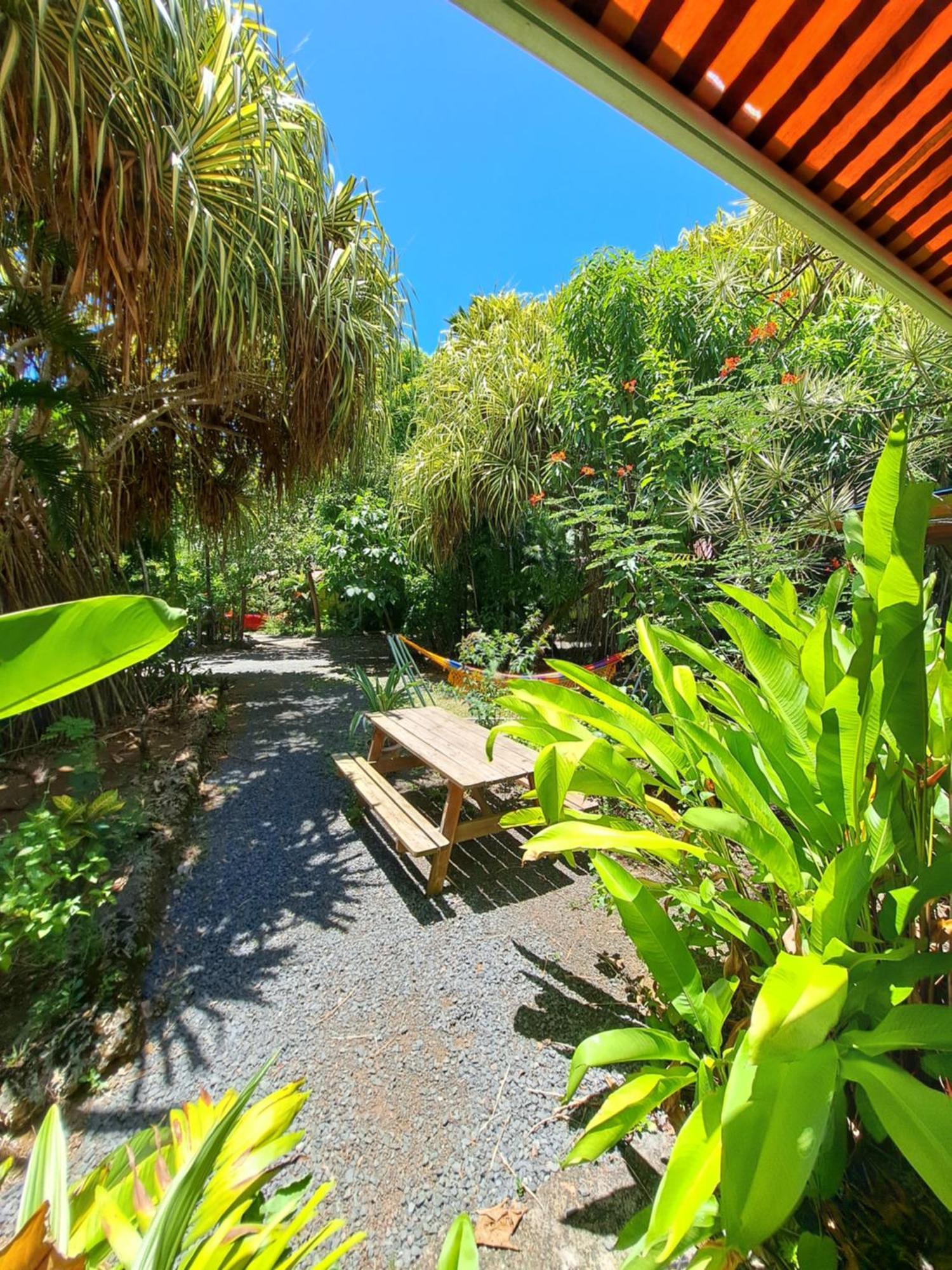 Residence Les Manguiers Pointe-Noire Dış mekan fotoğraf