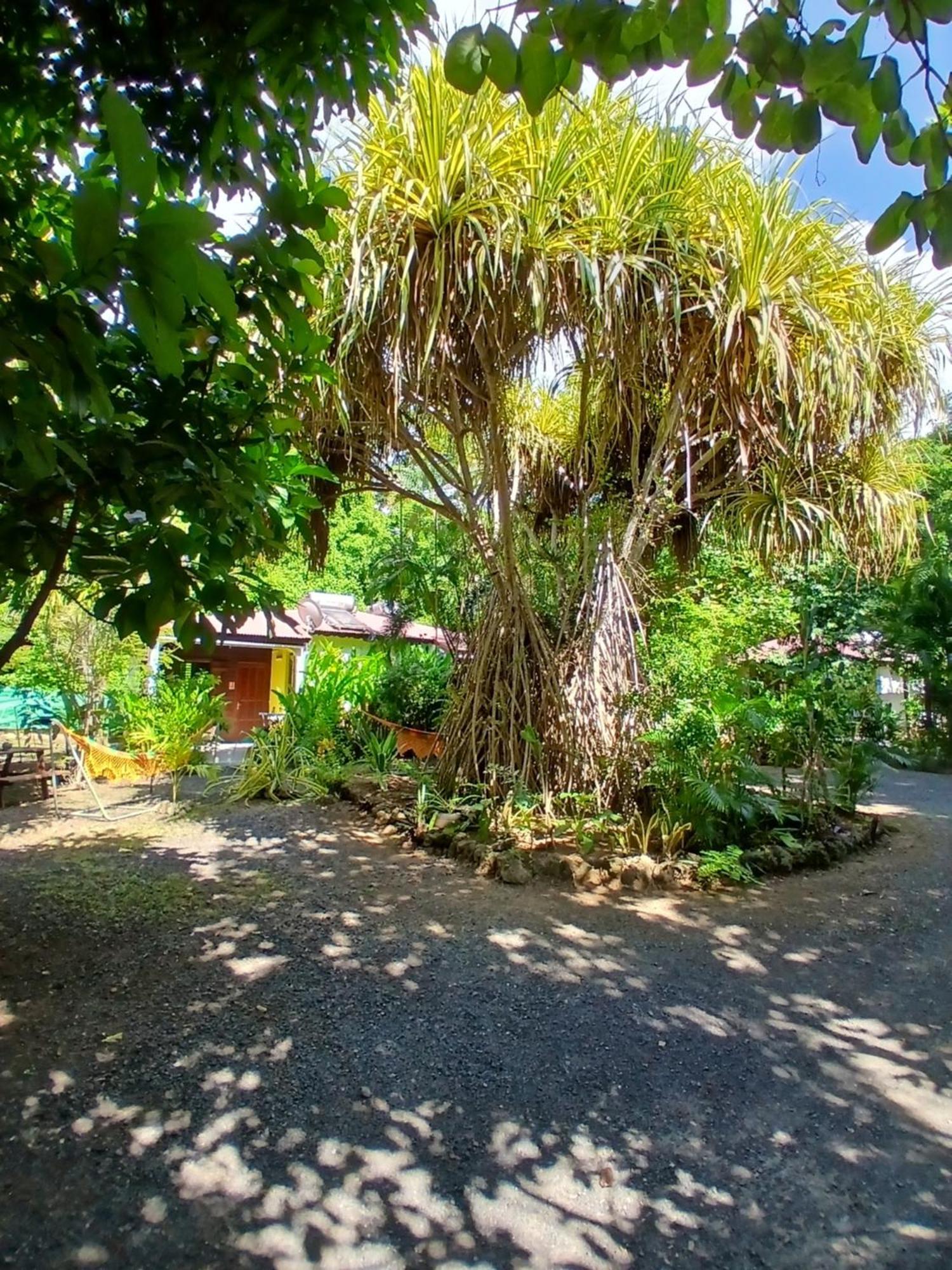 Residence Les Manguiers Pointe-Noire Dış mekan fotoğraf