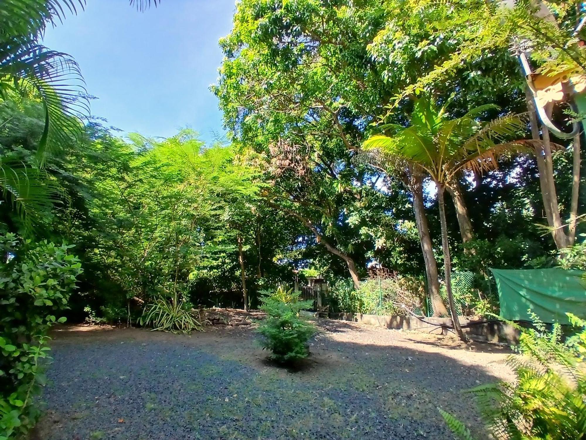 Residence Les Manguiers Pointe-Noire Dış mekan fotoğraf