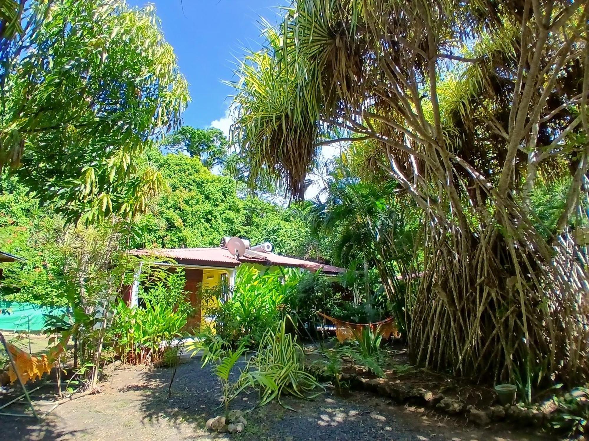 Residence Les Manguiers Pointe-Noire Dış mekan fotoğraf