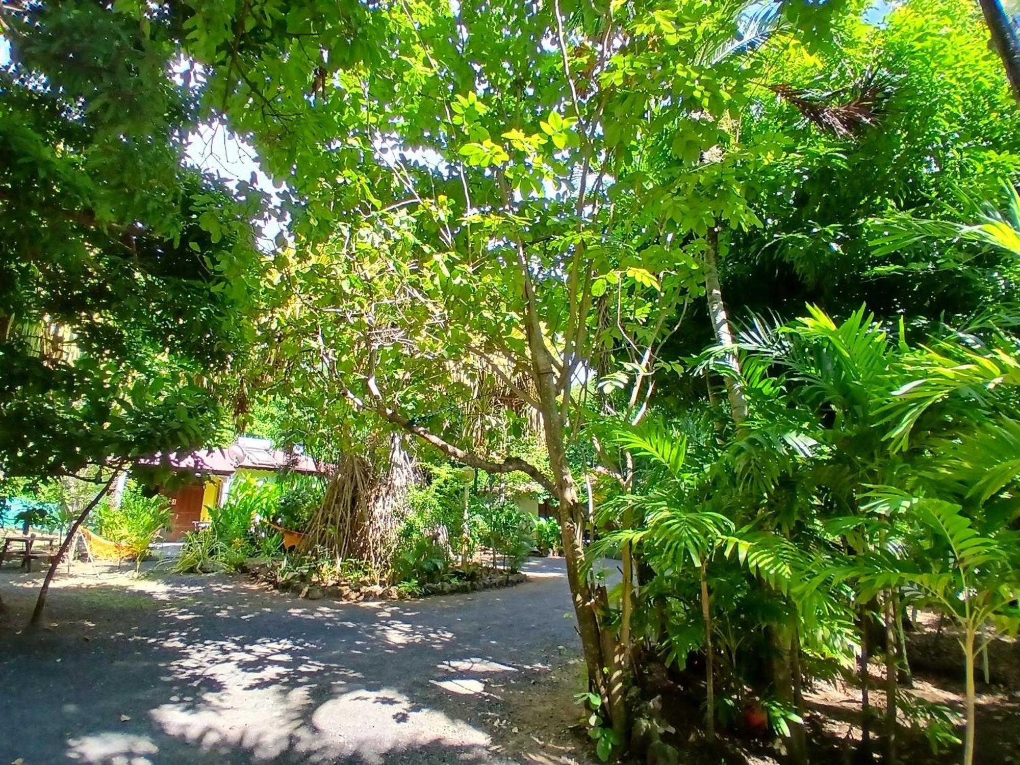 Residence Les Manguiers Pointe-Noire Dış mekan fotoğraf