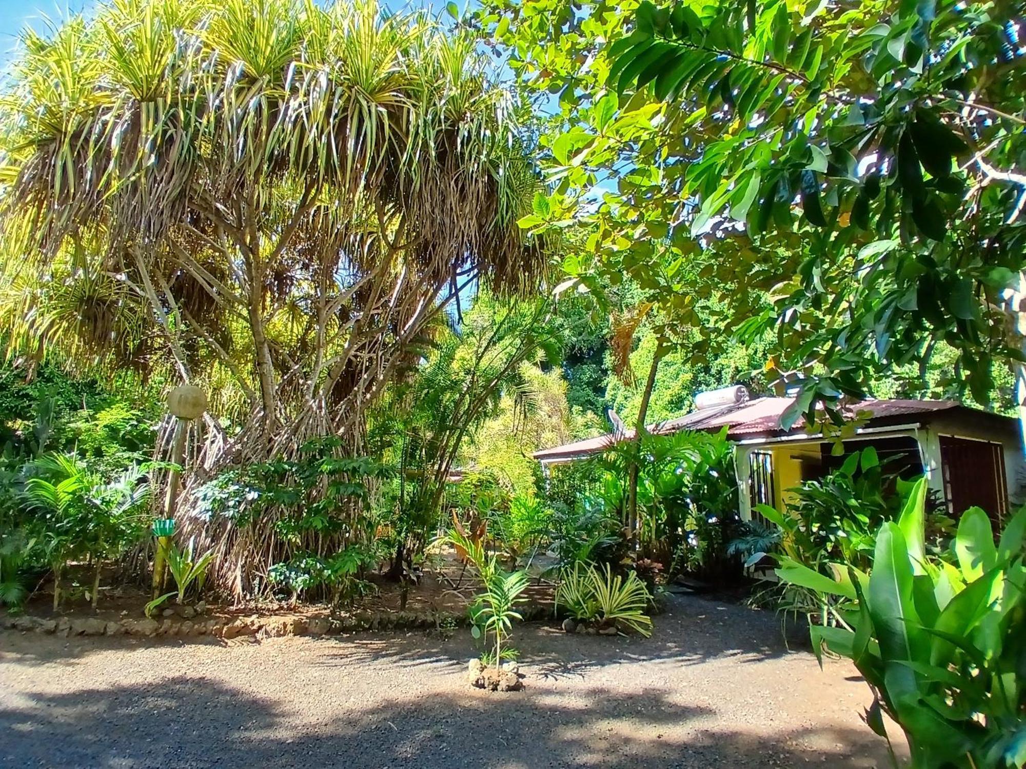 Residence Les Manguiers Pointe-Noire Dış mekan fotoğraf