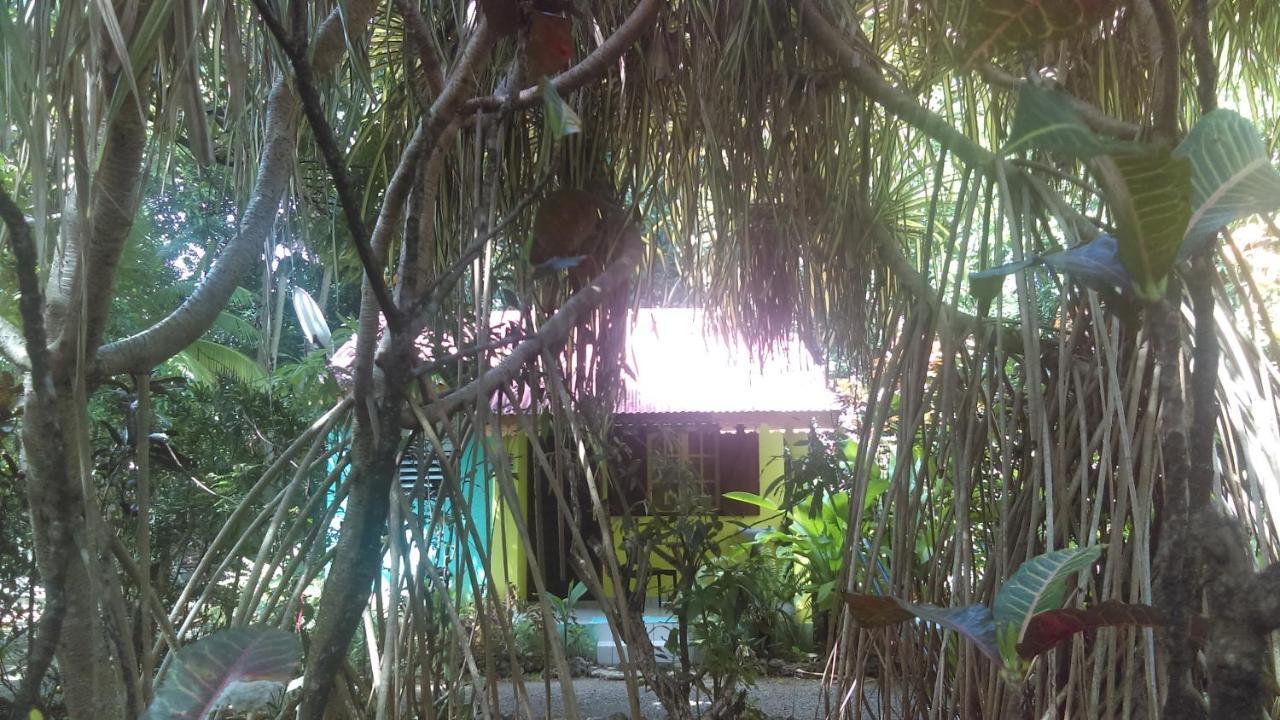 Residence Les Manguiers Pointe-Noire Dış mekan fotoğraf